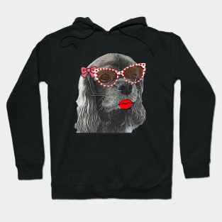 Ruby cavalier king Charles spaniel Hoodie